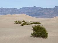 vallée de la mort  (163).JPG